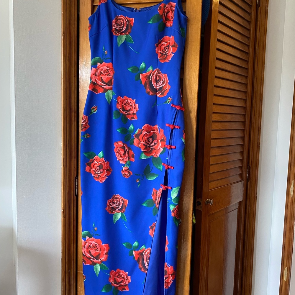 Stunning Sau Lee Indigo Dress